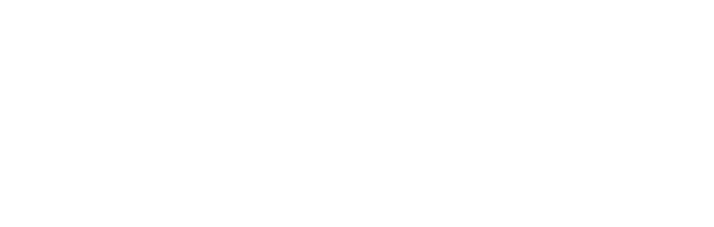 Logo Stader Gründungsnetzwerk